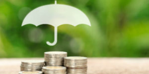 Who Should Consider an Asset Protection Plan?